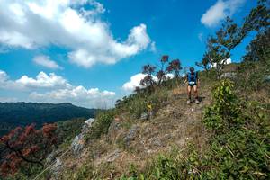 BIB: 
                            <button type="button" onclick="openModal(28095960)" class="btn btn-primary btn-sm float-right btn-popup" data-toggle="modal" data-target=".modal-high-quality">
                        <i class="fas fa-shopping-cart"></i> Add to Cart
                    </button>
                                            <button type="button" onclick="isThisMe(28095960, true)" class="btn btn-success btn-sm float-right btn-popup btn-isme hidden" data-toggle="tooltip" data-placement="bottom" title="นี่คือรูปของคุณใช่ไหม คลิกที่นี่เพื่อเอาเข้าอัลบั้ม">
                        <i class="fas fa-plus"></i> Add to album
                    </button>
                    <button type="button" onclick="isThisMe(28095960, false)" class="btn btn-warning btn-sm float-right btn-popup btn-isnotme hidden">
                        <i class="fas fa-ban"></i> Remove from album
                    </button>