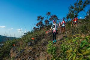 BIB: 
                            <button type="button" onclick="openModal(28098964)" class="btn btn-primary btn-sm float-right btn-popup" data-toggle="modal" data-target=".modal-high-quality">
                        <i class="fas fa-shopping-cart"></i> Add to Cart
                    </button>
                                            <button type="button" onclick="isThisMe(28098964, true)" class="btn btn-success btn-sm float-right btn-popup btn-isme hidden" data-toggle="tooltip" data-placement="bottom" title="นี่คือรูปของคุณใช่ไหม คลิกที่นี่เพื่อเอาเข้าอัลบั้ม">
                        <i class="fas fa-plus"></i> Add to album
                    </button>
                    <button type="button" onclick="isThisMe(28098964, false)" class="btn btn-warning btn-sm float-right btn-popup btn-isnotme hidden">
                        <i class="fas fa-ban"></i> Remove from album
                    </button>