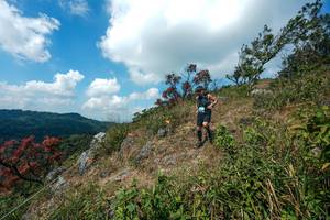 BIB: 
                            <button type="button" onclick="openModal(28096037)" class="btn btn-primary btn-sm float-right btn-popup" data-toggle="modal" data-target=".modal-high-quality">
                        <i class="fas fa-shopping-cart"></i> Add to Cart
                    </button>
                                            <button type="button" onclick="isThisMe(28096037, true)" class="btn btn-success btn-sm float-right btn-popup btn-isme hidden" data-toggle="tooltip" data-placement="bottom" title="นี่คือรูปของคุณใช่ไหม คลิกที่นี่เพื่อเอาเข้าอัลบั้ม">
                        <i class="fas fa-plus"></i> Add to album
                    </button>
                    <button type="button" onclick="isThisMe(28096037, false)" class="btn btn-warning btn-sm float-right btn-popup btn-isnotme hidden">
                        <i class="fas fa-ban"></i> Remove from album
                    </button>