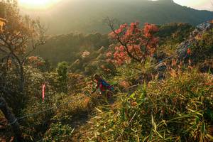 BIB: 
                            <button type="button" onclick="openModal(28099707)" class="btn btn-primary btn-sm float-right btn-popup" data-toggle="modal" data-target=".modal-high-quality">
                        <i class="fas fa-shopping-cart"></i> Add to Cart
                    </button>
                                            <button type="button" onclick="isThisMe(28099707, true)" class="btn btn-success btn-sm float-right btn-popup btn-isme hidden" data-toggle="tooltip" data-placement="bottom" title="นี่คือรูปของคุณใช่ไหม คลิกที่นี่เพื่อเอาเข้าอัลบั้ม">
                        <i class="fas fa-plus"></i> Add to album
                    </button>
                    <button type="button" onclick="isThisMe(28099707, false)" class="btn btn-warning btn-sm float-right btn-popup btn-isnotme hidden">
                        <i class="fas fa-ban"></i> Remove from album
                    </button>