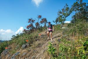 BIB: 
                            <button type="button" onclick="openModal(28096921)" class="btn btn-primary btn-sm float-right btn-popup" data-toggle="modal" data-target=".modal-high-quality">
                        <i class="fas fa-shopping-cart"></i> Add to Cart
                    </button>
                                            <button type="button" onclick="isThisMe(28096921, true)" class="btn btn-success btn-sm float-right btn-popup btn-isme hidden" data-toggle="tooltip" data-placement="bottom" title="นี่คือรูปของคุณใช่ไหม คลิกที่นี่เพื่อเอาเข้าอัลบั้ม">
                        <i class="fas fa-plus"></i> Add to album
                    </button>
                    <button type="button" onclick="isThisMe(28096921, false)" class="btn btn-warning btn-sm float-right btn-popup btn-isnotme hidden">
                        <i class="fas fa-ban"></i> Remove from album
                    </button>