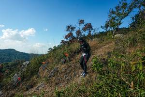 BIB: 
                            <button type="button" onclick="openModal(28097720)" class="btn btn-primary btn-sm float-right btn-popup" data-toggle="modal" data-target=".modal-high-quality">
                        <i class="fas fa-shopping-cart"></i> Add to Cart
                    </button>
                                            <button type="button" onclick="isThisMe(28097720, true)" class="btn btn-success btn-sm float-right btn-popup btn-isme hidden" data-toggle="tooltip" data-placement="bottom" title="นี่คือรูปของคุณใช่ไหม คลิกที่นี่เพื่อเอาเข้าอัลบั้ม">
                        <i class="fas fa-plus"></i> Add to album
                    </button>
                    <button type="button" onclick="isThisMe(28097720, false)" class="btn btn-warning btn-sm float-right btn-popup btn-isnotme hidden">
                        <i class="fas fa-ban"></i> Remove from album
                    </button>