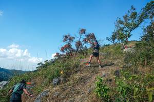 BIB: 
                            <button type="button" onclick="openModal(28096589)" class="btn btn-primary btn-sm float-right btn-popup" data-toggle="modal" data-target=".modal-high-quality">
                        <i class="fas fa-shopping-cart"></i> Add to Cart
                    </button>
                                            <button type="button" onclick="isThisMe(28096589, true)" class="btn btn-success btn-sm float-right btn-popup btn-isme hidden" data-toggle="tooltip" data-placement="bottom" title="นี่คือรูปของคุณใช่ไหม คลิกที่นี่เพื่อเอาเข้าอัลบั้ม">
                        <i class="fas fa-plus"></i> Add to album
                    </button>
                    <button type="button" onclick="isThisMe(28096589, false)" class="btn btn-warning btn-sm float-right btn-popup btn-isnotme hidden">
                        <i class="fas fa-ban"></i> Remove from album
                    </button>