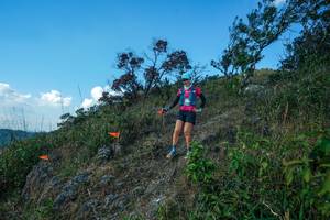 BIB: 
                            <button type="button" onclick="openModal(28096762)" class="btn btn-primary btn-sm float-right btn-popup" data-toggle="modal" data-target=".modal-high-quality">
                        <i class="fas fa-shopping-cart"></i> Add to Cart
                    </button>
                                            <button type="button" onclick="isThisMe(28096762, true)" class="btn btn-success btn-sm float-right btn-popup btn-isme hidden" data-toggle="tooltip" data-placement="bottom" title="นี่คือรูปของคุณใช่ไหม คลิกที่นี่เพื่อเอาเข้าอัลบั้ม">
                        <i class="fas fa-plus"></i> Add to album
                    </button>
                    <button type="button" onclick="isThisMe(28096762, false)" class="btn btn-warning btn-sm float-right btn-popup btn-isnotme hidden">
                        <i class="fas fa-ban"></i> Remove from album
                    </button>