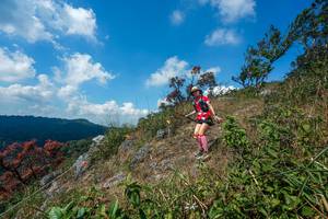 BIB: 
                            <button type="button" onclick="openModal(28096096)" class="btn btn-primary btn-sm float-right btn-popup" data-toggle="modal" data-target=".modal-high-quality">
                        <i class="fas fa-shopping-cart"></i> Add to Cart
                    </button>
                                            <button type="button" onclick="isThisMe(28096096, true)" class="btn btn-success btn-sm float-right btn-popup btn-isme hidden" data-toggle="tooltip" data-placement="bottom" title="นี่คือรูปของคุณใช่ไหม คลิกที่นี่เพื่อเอาเข้าอัลบั้ม">
                        <i class="fas fa-plus"></i> Add to album
                    </button>
                    <button type="button" onclick="isThisMe(28096096, false)" class="btn btn-warning btn-sm float-right btn-popup btn-isnotme hidden">
                        <i class="fas fa-ban"></i> Remove from album
                    </button>