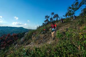 BIB: 
                            <button type="button" onclick="openModal(28098408)" class="btn btn-primary btn-sm float-right btn-popup" data-toggle="modal" data-target=".modal-high-quality">
                        <i class="fas fa-shopping-cart"></i> Add to Cart
                    </button>
                                            <button type="button" onclick="isThisMe(28098408, true)" class="btn btn-success btn-sm float-right btn-popup btn-isme hidden" data-toggle="tooltip" data-placement="bottom" title="นี่คือรูปของคุณใช่ไหม คลิกที่นี่เพื่อเอาเข้าอัลบั้ม">
                        <i class="fas fa-plus"></i> Add to album
                    </button>
                    <button type="button" onclick="isThisMe(28098408, false)" class="btn btn-warning btn-sm float-right btn-popup btn-isnotme hidden">
                        <i class="fas fa-ban"></i> Remove from album
                    </button>