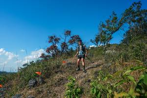 BIB: 
                            <button type="button" onclick="openModal(28097207)" class="btn btn-primary btn-sm float-right btn-popup" data-toggle="modal" data-target=".modal-high-quality">
                        <i class="fas fa-shopping-cart"></i> Add to Cart
                    </button>
                                            <button type="button" onclick="isThisMe(28097207, true)" class="btn btn-success btn-sm float-right btn-popup btn-isme hidden" data-toggle="tooltip" data-placement="bottom" title="นี่คือรูปของคุณใช่ไหม คลิกที่นี่เพื่อเอาเข้าอัลบั้ม">
                        <i class="fas fa-plus"></i> Add to album
                    </button>
                    <button type="button" onclick="isThisMe(28097207, false)" class="btn btn-warning btn-sm float-right btn-popup btn-isnotme hidden">
                        <i class="fas fa-ban"></i> Remove from album
                    </button>