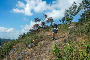 BIB: 
                            <button type="button" onclick="openModal(28096473)" class="btn btn-primary btn-sm float-right btn-popup" data-toggle="modal" data-target=".modal-high-quality">
                        <i class="fas fa-shopping-cart"></i> Add to Cart
                    </button>
                                            <button type="button" onclick="isThisMe(28096473, true)" class="btn btn-success btn-sm float-right btn-popup btn-isme hidden" data-toggle="tooltip" data-placement="bottom" title="นี่คือรูปของคุณใช่ไหม คลิกที่นี่เพื่อเอาเข้าอัลบั้ม">
                        <i class="fas fa-plus"></i> Add to album
                    </button>
                    <button type="button" onclick="isThisMe(28096473, false)" class="btn btn-warning btn-sm float-right btn-popup btn-isnotme hidden">
                        <i class="fas fa-ban"></i> Remove from album
                    </button>