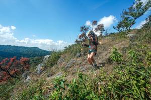 BIB: 
                            <button type="button" onclick="openModal(28096394)" class="btn btn-primary btn-sm float-right btn-popup" data-toggle="modal" data-target=".modal-high-quality">
                        <i class="fas fa-shopping-cart"></i> Add to Cart
                    </button>
                                            <button type="button" onclick="isThisMe(28096394, true)" class="btn btn-success btn-sm float-right btn-popup btn-isme hidden" data-toggle="tooltip" data-placement="bottom" title="นี่คือรูปของคุณใช่ไหม คลิกที่นี่เพื่อเอาเข้าอัลบั้ม">
                        <i class="fas fa-plus"></i> Add to album
                    </button>
                    <button type="button" onclick="isThisMe(28096394, false)" class="btn btn-warning btn-sm float-right btn-popup btn-isnotme hidden">
                        <i class="fas fa-ban"></i> Remove from album
                    </button>