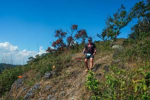 BIB: 
                            <button type="button" onclick="openModal(28096612)" class="btn btn-primary btn-sm float-right btn-popup" data-toggle="modal" data-target=".modal-high-quality">
                        <i class="fas fa-shopping-cart"></i> Add to Cart
                    </button>
                                            <button type="button" onclick="isThisMe(28096612, true)" class="btn btn-success btn-sm float-right btn-popup btn-isme hidden" data-toggle="tooltip" data-placement="bottom" title="นี่คือรูปของคุณใช่ไหม คลิกที่นี่เพื่อเอาเข้าอัลบั้ม">
                        <i class="fas fa-plus"></i> Add to album
                    </button>
                    <button type="button" onclick="isThisMe(28096612, false)" class="btn btn-warning btn-sm float-right btn-popup btn-isnotme hidden">
                        <i class="fas fa-ban"></i> Remove from album
                    </button>