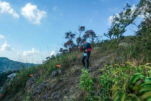 BIB: 
                            <button type="button" onclick="openModal(28097894)" class="btn btn-primary btn-sm float-right btn-popup" data-toggle="modal" data-target=".modal-high-quality">
                        <i class="fas fa-shopping-cart"></i> Add to Cart
                    </button>
                                            <button type="button" onclick="isThisMe(28097894, true)" class="btn btn-success btn-sm float-right btn-popup btn-isme hidden" data-toggle="tooltip" data-placement="bottom" title="นี่คือรูปของคุณใช่ไหม คลิกที่นี่เพื่อเอาเข้าอัลบั้ม">
                        <i class="fas fa-plus"></i> Add to album
                    </button>
                    <button type="button" onclick="isThisMe(28097894, false)" class="btn btn-warning btn-sm float-right btn-popup btn-isnotme hidden">
                        <i class="fas fa-ban"></i> Remove from album
                    </button>