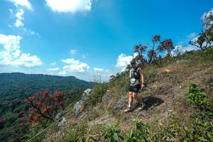 BIB: 
                            <button type="button" onclick="openModal(28096167)" class="btn btn-primary btn-sm float-right btn-popup" data-toggle="modal" data-target=".modal-high-quality">
                        <i class="fas fa-shopping-cart"></i> Add to Cart
                    </button>
                                            <button type="button" onclick="isThisMe(28096167, true)" class="btn btn-success btn-sm float-right btn-popup btn-isme hidden" data-toggle="tooltip" data-placement="bottom" title="นี่คือรูปของคุณใช่ไหม คลิกที่นี่เพื่อเอาเข้าอัลบั้ม">
                        <i class="fas fa-plus"></i> Add to album
                    </button>
                    <button type="button" onclick="isThisMe(28096167, false)" class="btn btn-warning btn-sm float-right btn-popup btn-isnotme hidden">
                        <i class="fas fa-ban"></i> Remove from album
                    </button>