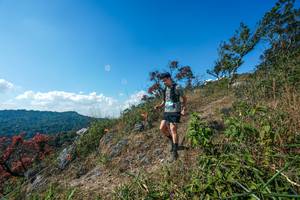 BIB: 
                            <button type="button" onclick="openModal(28097217)" class="btn btn-primary btn-sm float-right btn-popup" data-toggle="modal" data-target=".modal-high-quality">
                        <i class="fas fa-shopping-cart"></i> Add to Cart
                    </button>
                                            <button type="button" onclick="isThisMe(28097217, true)" class="btn btn-success btn-sm float-right btn-popup btn-isme hidden" data-toggle="tooltip" data-placement="bottom" title="นี่คือรูปของคุณใช่ไหม คลิกที่นี่เพื่อเอาเข้าอัลบั้ม">
                        <i class="fas fa-plus"></i> Add to album
                    </button>
                    <button type="button" onclick="isThisMe(28097217, false)" class="btn btn-warning btn-sm float-right btn-popup btn-isnotme hidden">
                        <i class="fas fa-ban"></i> Remove from album
                    </button>