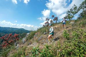 BIB: 
                            <button type="button" onclick="openModal(28096443)" class="btn btn-primary btn-sm float-right btn-popup" data-toggle="modal" data-target=".modal-high-quality">
                        <i class="fas fa-shopping-cart"></i> Add to Cart
                    </button>
                                            <button type="button" onclick="isThisMe(28096443, true)" class="btn btn-success btn-sm float-right btn-popup btn-isme hidden" data-toggle="tooltip" data-placement="bottom" title="นี่คือรูปของคุณใช่ไหม คลิกที่นี่เพื่อเอาเข้าอัลบั้ม">
                        <i class="fas fa-plus"></i> Add to album
                    </button>
                    <button type="button" onclick="isThisMe(28096443, false)" class="btn btn-warning btn-sm float-right btn-popup btn-isnotme hidden">
                        <i class="fas fa-ban"></i> Remove from album
                    </button>