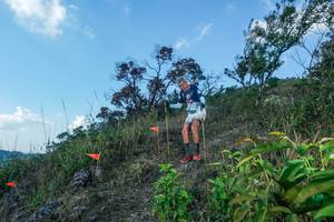 BIB: 
                            <button type="button" onclick="openModal(28097887)" class="btn btn-primary btn-sm float-right btn-popup" data-toggle="modal" data-target=".modal-high-quality">
                        <i class="fas fa-shopping-cart"></i> Add to Cart
                    </button>
                                            <button type="button" onclick="isThisMe(28097887, true)" class="btn btn-success btn-sm float-right btn-popup btn-isme hidden" data-toggle="tooltip" data-placement="bottom" title="นี่คือรูปของคุณใช่ไหม คลิกที่นี่เพื่อเอาเข้าอัลบั้ม">
                        <i class="fas fa-plus"></i> Add to album
                    </button>
                    <button type="button" onclick="isThisMe(28097887, false)" class="btn btn-warning btn-sm float-right btn-popup btn-isnotme hidden">
                        <i class="fas fa-ban"></i> Remove from album
                    </button>