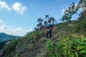 BIB: 
                            <button type="button" onclick="openModal(28097908)" class="btn btn-primary btn-sm float-right btn-popup" data-toggle="modal" data-target=".modal-high-quality">
                        <i class="fas fa-shopping-cart"></i> Add to Cart
                    </button>
                                            <button type="button" onclick="isThisMe(28097908, true)" class="btn btn-success btn-sm float-right btn-popup btn-isme hidden" data-toggle="tooltip" data-placement="bottom" title="นี่คือรูปของคุณใช่ไหม คลิกที่นี่เพื่อเอาเข้าอัลบั้ม">
                        <i class="fas fa-plus"></i> Add to album
                    </button>
                    <button type="button" onclick="isThisMe(28097908, false)" class="btn btn-warning btn-sm float-right btn-popup btn-isnotme hidden">
                        <i class="fas fa-ban"></i> Remove from album
                    </button>