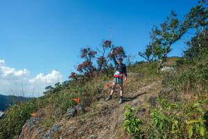 BIB: 
                            <button type="button" onclick="openModal(28096644)" class="btn btn-primary btn-sm float-right btn-popup" data-toggle="modal" data-target=".modal-high-quality">
                        <i class="fas fa-shopping-cart"></i> Add to Cart
                    </button>
                                            <button type="button" onclick="isThisMe(28096644, true)" class="btn btn-success btn-sm float-right btn-popup btn-isme hidden" data-toggle="tooltip" data-placement="bottom" title="นี่คือรูปของคุณใช่ไหม คลิกที่นี่เพื่อเอาเข้าอัลบั้ม">
                        <i class="fas fa-plus"></i> Add to album
                    </button>
                    <button type="button" onclick="isThisMe(28096644, false)" class="btn btn-warning btn-sm float-right btn-popup btn-isnotme hidden">
                        <i class="fas fa-ban"></i> Remove from album
                    </button>