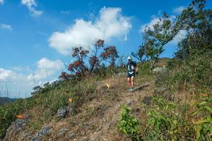 BIB: 
                            <button type="button" onclick="openModal(28096506)" class="btn btn-primary btn-sm float-right btn-popup" data-toggle="modal" data-target=".modal-high-quality">
                        <i class="fas fa-shopping-cart"></i> Add to Cart
                    </button>
                                            <button type="button" onclick="isThisMe(28096506, true)" class="btn btn-success btn-sm float-right btn-popup btn-isme hidden" data-toggle="tooltip" data-placement="bottom" title="นี่คือรูปของคุณใช่ไหม คลิกที่นี่เพื่อเอาเข้าอัลบั้ม">
                        <i class="fas fa-plus"></i> Add to album
                    </button>
                    <button type="button" onclick="isThisMe(28096506, false)" class="btn btn-warning btn-sm float-right btn-popup btn-isnotme hidden">
                        <i class="fas fa-ban"></i> Remove from album
                    </button>