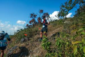 BIB: 
                            <button type="button" onclick="openModal(28097351)" class="btn btn-primary btn-sm float-right btn-popup" data-toggle="modal" data-target=".modal-high-quality">
                        <i class="fas fa-shopping-cart"></i> Add to Cart
                    </button>
                                            <button type="button" onclick="isThisMe(28097351, true)" class="btn btn-success btn-sm float-right btn-popup btn-isme hidden" data-toggle="tooltip" data-placement="bottom" title="นี่คือรูปของคุณใช่ไหม คลิกที่นี่เพื่อเอาเข้าอัลบั้ม">
                        <i class="fas fa-plus"></i> Add to album
                    </button>
                    <button type="button" onclick="isThisMe(28097351, false)" class="btn btn-warning btn-sm float-right btn-popup btn-isnotme hidden">
                        <i class="fas fa-ban"></i> Remove from album
                    </button>