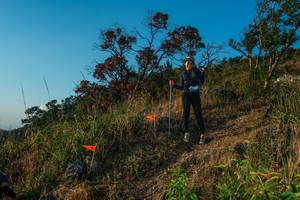 BIB: 
                            <button type="button" onclick="openModal(28099568)" class="btn btn-primary btn-sm float-right btn-popup" data-toggle="modal" data-target=".modal-high-quality">
                        <i class="fas fa-shopping-cart"></i> Add to Cart
                    </button>
                                            <button type="button" onclick="isThisMe(28099568, true)" class="btn btn-success btn-sm float-right btn-popup btn-isme hidden" data-toggle="tooltip" data-placement="bottom" title="นี่คือรูปของคุณใช่ไหม คลิกที่นี่เพื่อเอาเข้าอัลบั้ม">
                        <i class="fas fa-plus"></i> Add to album
                    </button>
                    <button type="button" onclick="isThisMe(28099568, false)" class="btn btn-warning btn-sm float-right btn-popup btn-isnotme hidden">
                        <i class="fas fa-ban"></i> Remove from album
                    </button>