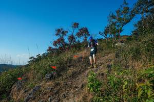 BIB: 
                            <button type="button" onclick="openModal(28098533)" class="btn btn-primary btn-sm float-right btn-popup" data-toggle="modal" data-target=".modal-high-quality">
                        <i class="fas fa-shopping-cart"></i> Add to Cart
                    </button>
                                            <button type="button" onclick="isThisMe(28098533, true)" class="btn btn-success btn-sm float-right btn-popup btn-isme hidden" data-toggle="tooltip" data-placement="bottom" title="นี่คือรูปของคุณใช่ไหม คลิกที่นี่เพื่อเอาเข้าอัลบั้ม">
                        <i class="fas fa-plus"></i> Add to album
                    </button>
                    <button type="button" onclick="isThisMe(28098533, false)" class="btn btn-warning btn-sm float-right btn-popup btn-isnotme hidden">
                        <i class="fas fa-ban"></i> Remove from album
                    </button>