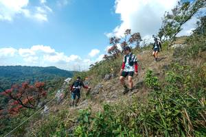 BIB: 
                            <button type="button" onclick="openModal(28096200)" class="btn btn-primary btn-sm float-right btn-popup" data-toggle="modal" data-target=".modal-high-quality">
                        <i class="fas fa-shopping-cart"></i> Add to Cart
                    </button>
                                            <button type="button" onclick="isThisMe(28096200, true)" class="btn btn-success btn-sm float-right btn-popup btn-isme hidden" data-toggle="tooltip" data-placement="bottom" title="นี่คือรูปของคุณใช่ไหม คลิกที่นี่เพื่อเอาเข้าอัลบั้ม">
                        <i class="fas fa-plus"></i> Add to album
                    </button>
                    <button type="button" onclick="isThisMe(28096200, false)" class="btn btn-warning btn-sm float-right btn-popup btn-isnotme hidden">
                        <i class="fas fa-ban"></i> Remove from album
                    </button>