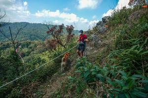 BIB: 
                            <button type="button" onclick="openModal(28095923)" class="btn btn-primary btn-sm float-right btn-popup" data-toggle="modal" data-target=".modal-high-quality">
                        <i class="fas fa-shopping-cart"></i> Add to Cart
                    </button>
                                            <button type="button" onclick="isThisMe(28095923, true)" class="btn btn-success btn-sm float-right btn-popup btn-isme hidden" data-toggle="tooltip" data-placement="bottom" title="นี่คือรูปของคุณใช่ไหม คลิกที่นี่เพื่อเอาเข้าอัลบั้ม">
                        <i class="fas fa-plus"></i> Add to album
                    </button>
                    <button type="button" onclick="isThisMe(28095923, false)" class="btn btn-warning btn-sm float-right btn-popup btn-isnotme hidden">
                        <i class="fas fa-ban"></i> Remove from album
                    </button>