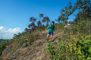 BIB: 
                            <button type="button" onclick="openModal(28096646)" class="btn btn-primary btn-sm float-right btn-popup" data-toggle="modal" data-target=".modal-high-quality">
                        <i class="fas fa-shopping-cart"></i> Add to Cart
                    </button>
                                            <button type="button" onclick="isThisMe(28096646, true)" class="btn btn-success btn-sm float-right btn-popup btn-isme hidden" data-toggle="tooltip" data-placement="bottom" title="นี่คือรูปของคุณใช่ไหม คลิกที่นี่เพื่อเอาเข้าอัลบั้ม">
                        <i class="fas fa-plus"></i> Add to album
                    </button>
                    <button type="button" onclick="isThisMe(28096646, false)" class="btn btn-warning btn-sm float-right btn-popup btn-isnotme hidden">
                        <i class="fas fa-ban"></i> Remove from album
                    </button>