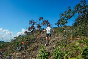 BIB: 
                            <button type="button" onclick="openModal(28097176)" class="btn btn-primary btn-sm float-right btn-popup" data-toggle="modal" data-target=".modal-high-quality">
                        <i class="fas fa-shopping-cart"></i> Add to Cart
                    </button>
                                            <button type="button" onclick="isThisMe(28097176, true)" class="btn btn-success btn-sm float-right btn-popup btn-isme hidden" data-toggle="tooltip" data-placement="bottom" title="นี่คือรูปของคุณใช่ไหม คลิกที่นี่เพื่อเอาเข้าอัลบั้ม">
                        <i class="fas fa-plus"></i> Add to album
                    </button>
                    <button type="button" onclick="isThisMe(28097176, false)" class="btn btn-warning btn-sm float-right btn-popup btn-isnotme hidden">
                        <i class="fas fa-ban"></i> Remove from album
                    </button>