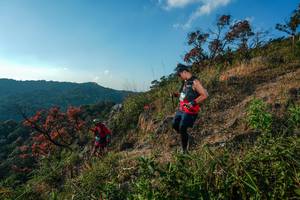 BIB: 
                            <button type="button" onclick="openModal(28099334)" class="btn btn-primary btn-sm float-right btn-popup" data-toggle="modal" data-target=".modal-high-quality">
                        <i class="fas fa-shopping-cart"></i> Add to Cart
                    </button>
                                            <button type="button" onclick="isThisMe(28099334, true)" class="btn btn-success btn-sm float-right btn-popup btn-isme hidden" data-toggle="tooltip" data-placement="bottom" title="นี่คือรูปของคุณใช่ไหม คลิกที่นี่เพื่อเอาเข้าอัลบั้ม">
                        <i class="fas fa-plus"></i> Add to album
                    </button>
                    <button type="button" onclick="isThisMe(28099334, false)" class="btn btn-warning btn-sm float-right btn-popup btn-isnotme hidden">
                        <i class="fas fa-ban"></i> Remove from album
                    </button>