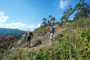 BIB: 
                            <button type="button" onclick="openModal(28096841)" class="btn btn-primary btn-sm float-right btn-popup" data-toggle="modal" data-target=".modal-high-quality">
                        <i class="fas fa-shopping-cart"></i> Add to Cart
                    </button>
                                            <button type="button" onclick="isThisMe(28096841, true)" class="btn btn-success btn-sm float-right btn-popup btn-isme hidden" data-toggle="tooltip" data-placement="bottom" title="นี่คือรูปของคุณใช่ไหม คลิกที่นี่เพื่อเอาเข้าอัลบั้ม">
                        <i class="fas fa-plus"></i> Add to album
                    </button>
                    <button type="button" onclick="isThisMe(28096841, false)" class="btn btn-warning btn-sm float-right btn-popup btn-isnotme hidden">
                        <i class="fas fa-ban"></i> Remove from album
                    </button>