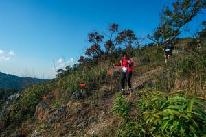 BIB: 
                            <button type="button" onclick="openModal(28098729)" class="btn btn-primary btn-sm float-right btn-popup" data-toggle="modal" data-target=".modal-high-quality">
                        <i class="fas fa-shopping-cart"></i> Add to Cart
                    </button>
                                            <button type="button" onclick="isThisMe(28098729, true)" class="btn btn-success btn-sm float-right btn-popup btn-isme hidden" data-toggle="tooltip" data-placement="bottom" title="นี่คือรูปของคุณใช่ไหม คลิกที่นี่เพื่อเอาเข้าอัลบั้ม">
                        <i class="fas fa-plus"></i> Add to album
                    </button>
                    <button type="button" onclick="isThisMe(28098729, false)" class="btn btn-warning btn-sm float-right btn-popup btn-isnotme hidden">
                        <i class="fas fa-ban"></i> Remove from album
                    </button>