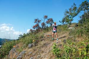 BIB: 
                            <button type="button" onclick="openModal(28096597)" class="btn btn-primary btn-sm float-right btn-popup" data-toggle="modal" data-target=".modal-high-quality">
                        <i class="fas fa-shopping-cart"></i> Add to Cart
                    </button>
                                            <button type="button" onclick="isThisMe(28096597, true)" class="btn btn-success btn-sm float-right btn-popup btn-isme hidden" data-toggle="tooltip" data-placement="bottom" title="นี่คือรูปของคุณใช่ไหม คลิกที่นี่เพื่อเอาเข้าอัลบั้ม">
                        <i class="fas fa-plus"></i> Add to album
                    </button>
                    <button type="button" onclick="isThisMe(28096597, false)" class="btn btn-warning btn-sm float-right btn-popup btn-isnotme hidden">
                        <i class="fas fa-ban"></i> Remove from album
                    </button>