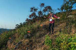 BIB: 
                            <button type="button" onclick="openModal(28099409)" class="btn btn-primary btn-sm float-right btn-popup" data-toggle="modal" data-target=".modal-high-quality">
                        <i class="fas fa-shopping-cart"></i> Add to Cart
                    </button>
                                            <button type="button" onclick="isThisMe(28099409, true)" class="btn btn-success btn-sm float-right btn-popup btn-isme hidden" data-toggle="tooltip" data-placement="bottom" title="นี่คือรูปของคุณใช่ไหม คลิกที่นี่เพื่อเอาเข้าอัลบั้ม">
                        <i class="fas fa-plus"></i> Add to album
                    </button>
                    <button type="button" onclick="isThisMe(28099409, false)" class="btn btn-warning btn-sm float-right btn-popup btn-isnotme hidden">
                        <i class="fas fa-ban"></i> Remove from album
                    </button>