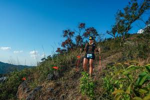 BIB: 
                            <button type="button" onclick="openModal(28099012)" class="btn btn-primary btn-sm float-right btn-popup" data-toggle="modal" data-target=".modal-high-quality">
                        <i class="fas fa-shopping-cart"></i> Add to Cart
                    </button>
                                            <button type="button" onclick="isThisMe(28099012, true)" class="btn btn-success btn-sm float-right btn-popup btn-isme hidden" data-toggle="tooltip" data-placement="bottom" title="นี่คือรูปของคุณใช่ไหม คลิกที่นี่เพื่อเอาเข้าอัลบั้ม">
                        <i class="fas fa-plus"></i> Add to album
                    </button>
                    <button type="button" onclick="isThisMe(28099012, false)" class="btn btn-warning btn-sm float-right btn-popup btn-isnotme hidden">
                        <i class="fas fa-ban"></i> Remove from album
                    </button>