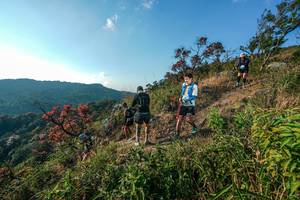 BIB: 
                            <button type="button" onclick="openModal(28099404)" class="btn btn-primary btn-sm float-right btn-popup" data-toggle="modal" data-target=".modal-high-quality">
                        <i class="fas fa-shopping-cart"></i> Add to Cart
                    </button>
                                            <button type="button" onclick="isThisMe(28099404, true)" class="btn btn-success btn-sm float-right btn-popup btn-isme hidden" data-toggle="tooltip" data-placement="bottom" title="นี่คือรูปของคุณใช่ไหม คลิกที่นี่เพื่อเอาเข้าอัลบั้ม">
                        <i class="fas fa-plus"></i> Add to album
                    </button>
                    <button type="button" onclick="isThisMe(28099404, false)" class="btn btn-warning btn-sm float-right btn-popup btn-isnotme hidden">
                        <i class="fas fa-ban"></i> Remove from album
                    </button>