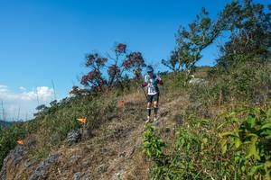 BIB: 
                            <button type="button" onclick="openModal(28096702)" class="btn btn-primary btn-sm float-right btn-popup" data-toggle="modal" data-target=".modal-high-quality">
                        <i class="fas fa-shopping-cart"></i> Add to Cart
                    </button>
                                            <button type="button" onclick="isThisMe(28096702, true)" class="btn btn-success btn-sm float-right btn-popup btn-isme hidden" data-toggle="tooltip" data-placement="bottom" title="นี่คือรูปของคุณใช่ไหม คลิกที่นี่เพื่อเอาเข้าอัลบั้ม">
                        <i class="fas fa-plus"></i> Add to album
                    </button>
                    <button type="button" onclick="isThisMe(28096702, false)" class="btn btn-warning btn-sm float-right btn-popup btn-isnotme hidden">
                        <i class="fas fa-ban"></i> Remove from album
                    </button>