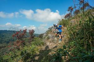 BIB: 
                            <button type="button" onclick="openModal(28095763)" class="btn btn-primary btn-sm float-right btn-popup" data-toggle="modal" data-target=".modal-high-quality">
                        <i class="fas fa-shopping-cart"></i> Add to Cart
                    </button>
                                            <button type="button" onclick="isThisMe(28095763, true)" class="btn btn-success btn-sm float-right btn-popup btn-isme hidden" data-toggle="tooltip" data-placement="bottom" title="นี่คือรูปของคุณใช่ไหม คลิกที่นี่เพื่อเอาเข้าอัลบั้ม">
                        <i class="fas fa-plus"></i> Add to album
                    </button>
                    <button type="button" onclick="isThisMe(28095763, false)" class="btn btn-warning btn-sm float-right btn-popup btn-isnotme hidden">
                        <i class="fas fa-ban"></i> Remove from album
                    </button>