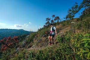 BIB: 
                            <button type="button" onclick="openModal(28098679)" class="btn btn-primary btn-sm float-right btn-popup" data-toggle="modal" data-target=".modal-high-quality">
                        <i class="fas fa-shopping-cart"></i> Add to Cart
                    </button>
                                            <button type="button" onclick="isThisMe(28098679, true)" class="btn btn-success btn-sm float-right btn-popup btn-isme hidden" data-toggle="tooltip" data-placement="bottom" title="นี่คือรูปของคุณใช่ไหม คลิกที่นี่เพื่อเอาเข้าอัลบั้ม">
                        <i class="fas fa-plus"></i> Add to album
                    </button>
                    <button type="button" onclick="isThisMe(28098679, false)" class="btn btn-warning btn-sm float-right btn-popup btn-isnotme hidden">
                        <i class="fas fa-ban"></i> Remove from album
                    </button>