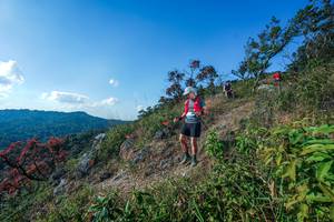 BIB: 
                            <button type="button" onclick="openModal(28098248)" class="btn btn-primary btn-sm float-right btn-popup" data-toggle="modal" data-target=".modal-high-quality">
                        <i class="fas fa-shopping-cart"></i> Add to Cart
                    </button>
                                            <button type="button" onclick="isThisMe(28098248, true)" class="btn btn-success btn-sm float-right btn-popup btn-isme hidden" data-toggle="tooltip" data-placement="bottom" title="นี่คือรูปของคุณใช่ไหม คลิกที่นี่เพื่อเอาเข้าอัลบั้ม">
                        <i class="fas fa-plus"></i> Add to album
                    </button>
                    <button type="button" onclick="isThisMe(28098248, false)" class="btn btn-warning btn-sm float-right btn-popup btn-isnotme hidden">
                        <i class="fas fa-ban"></i> Remove from album
                    </button>