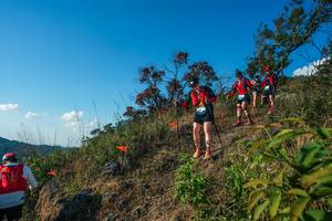 BIB: 
                            <button type="button" onclick="openModal(28099028)" class="btn btn-primary btn-sm float-right btn-popup" data-toggle="modal" data-target=".modal-high-quality">
                        <i class="fas fa-shopping-cart"></i> Add to Cart
                    </button>
                                            <button type="button" onclick="isThisMe(28099028, true)" class="btn btn-success btn-sm float-right btn-popup btn-isme hidden" data-toggle="tooltip" data-placement="bottom" title="นี่คือรูปของคุณใช่ไหม คลิกที่นี่เพื่อเอาเข้าอัลบั้ม">
                        <i class="fas fa-plus"></i> Add to album
                    </button>
                    <button type="button" onclick="isThisMe(28099028, false)" class="btn btn-warning btn-sm float-right btn-popup btn-isnotme hidden">
                        <i class="fas fa-ban"></i> Remove from album
                    </button>