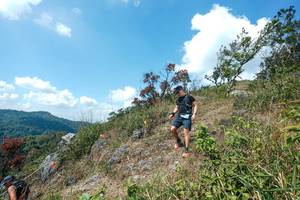 BIB: 
                            <button type="button" onclick="openModal(28096186)" class="btn btn-primary btn-sm float-right btn-popup" data-toggle="modal" data-target=".modal-high-quality">
                        <i class="fas fa-shopping-cart"></i> Add to Cart
                    </button>
                                            <button type="button" onclick="isThisMe(28096186, true)" class="btn btn-success btn-sm float-right btn-popup btn-isme hidden" data-toggle="tooltip" data-placement="bottom" title="นี่คือรูปของคุณใช่ไหม คลิกที่นี่เพื่อเอาเข้าอัลบั้ม">
                        <i class="fas fa-plus"></i> Add to album
                    </button>
                    <button type="button" onclick="isThisMe(28096186, false)" class="btn btn-warning btn-sm float-right btn-popup btn-isnotme hidden">
                        <i class="fas fa-ban"></i> Remove from album
                    </button>