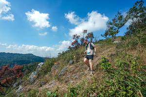 BIB: 
                            <button type="button" onclick="openModal(28096496)" class="btn btn-primary btn-sm float-right btn-popup" data-toggle="modal" data-target=".modal-high-quality">
                        <i class="fas fa-shopping-cart"></i> Add to Cart
                    </button>
                                            <button type="button" onclick="isThisMe(28096496, true)" class="btn btn-success btn-sm float-right btn-popup btn-isme hidden" data-toggle="tooltip" data-placement="bottom" title="นี่คือรูปของคุณใช่ไหม คลิกที่นี่เพื่อเอาเข้าอัลบั้ม">
                        <i class="fas fa-plus"></i> Add to album
                    </button>
                    <button type="button" onclick="isThisMe(28096496, false)" class="btn btn-warning btn-sm float-right btn-popup btn-isnotme hidden">
                        <i class="fas fa-ban"></i> Remove from album
                    </button>