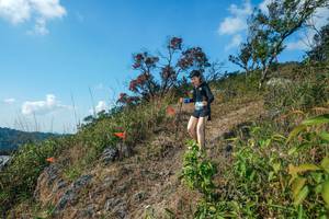 BIB: 
                            <button type="button" onclick="openModal(28097929)" class="btn btn-primary btn-sm float-right btn-popup" data-toggle="modal" data-target=".modal-high-quality">
                        <i class="fas fa-shopping-cart"></i> Add to Cart
                    </button>
                                            <button type="button" onclick="isThisMe(28097929, true)" class="btn btn-success btn-sm float-right btn-popup btn-isme hidden" data-toggle="tooltip" data-placement="bottom" title="นี่คือรูปของคุณใช่ไหม คลิกที่นี่เพื่อเอาเข้าอัลบั้ม">
                        <i class="fas fa-plus"></i> Add to album
                    </button>
                    <button type="button" onclick="isThisMe(28097929, false)" class="btn btn-warning btn-sm float-right btn-popup btn-isnotme hidden">
                        <i class="fas fa-ban"></i> Remove from album
                    </button>