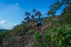 BIB: 
                            <button type="button" onclick="openModal(28098174)" class="btn btn-primary btn-sm float-right btn-popup" data-toggle="modal" data-target=".modal-high-quality">
                        <i class="fas fa-shopping-cart"></i> Add to Cart
                    </button>
                                            <button type="button" onclick="isThisMe(28098174, true)" class="btn btn-success btn-sm float-right btn-popup btn-isme hidden" data-toggle="tooltip" data-placement="bottom" title="นี่คือรูปของคุณใช่ไหม คลิกที่นี่เพื่อเอาเข้าอัลบั้ม">
                        <i class="fas fa-plus"></i> Add to album
                    </button>
                    <button type="button" onclick="isThisMe(28098174, false)" class="btn btn-warning btn-sm float-right btn-popup btn-isnotme hidden">
                        <i class="fas fa-ban"></i> Remove from album
                    </button>