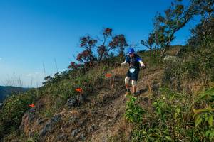 BIB: 
                            <button type="button" onclick="openModal(28098540)" class="btn btn-primary btn-sm float-right btn-popup" data-toggle="modal" data-target=".modal-high-quality">
                        <i class="fas fa-shopping-cart"></i> Add to Cart
                    </button>
                                            <button type="button" onclick="isThisMe(28098540, true)" class="btn btn-success btn-sm float-right btn-popup btn-isme hidden" data-toggle="tooltip" data-placement="bottom" title="นี่คือรูปของคุณใช่ไหม คลิกที่นี่เพื่อเอาเข้าอัลบั้ม">
                        <i class="fas fa-plus"></i> Add to album
                    </button>
                    <button type="button" onclick="isThisMe(28098540, false)" class="btn btn-warning btn-sm float-right btn-popup btn-isnotme hidden">
                        <i class="fas fa-ban"></i> Remove from album
                    </button>