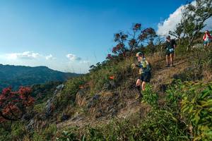 BIB: 
                            <button type="button" onclick="openModal(28099110)" class="btn btn-primary btn-sm float-right btn-popup" data-toggle="modal" data-target=".modal-high-quality">
                        <i class="fas fa-shopping-cart"></i> Add to Cart
                    </button>
                                            <button type="button" onclick="isThisMe(28099110, true)" class="btn btn-success btn-sm float-right btn-popup btn-isme hidden" data-toggle="tooltip" data-placement="bottom" title="นี่คือรูปของคุณใช่ไหม คลิกที่นี่เพื่อเอาเข้าอัลบั้ม">
                        <i class="fas fa-plus"></i> Add to album
                    </button>
                    <button type="button" onclick="isThisMe(28099110, false)" class="btn btn-warning btn-sm float-right btn-popup btn-isnotme hidden">
                        <i class="fas fa-ban"></i> Remove from album
                    </button>