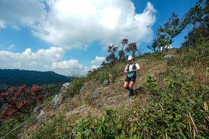 BIB: 
                            <button type="button" onclick="openModal(28096063)" class="btn btn-primary btn-sm float-right btn-popup" data-toggle="modal" data-target=".modal-high-quality">
                        <i class="fas fa-shopping-cart"></i> Add to Cart
                    </button>
                                            <button type="button" onclick="isThisMe(28096063, true)" class="btn btn-success btn-sm float-right btn-popup btn-isme hidden" data-toggle="tooltip" data-placement="bottom" title="นี่คือรูปของคุณใช่ไหม คลิกที่นี่เพื่อเอาเข้าอัลบั้ม">
                        <i class="fas fa-plus"></i> Add to album
                    </button>
                    <button type="button" onclick="isThisMe(28096063, false)" class="btn btn-warning btn-sm float-right btn-popup btn-isnotme hidden">
                        <i class="fas fa-ban"></i> Remove from album
                    </button>