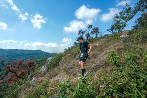 BIB: 
                            <button type="button" onclick="openModal(28096523)" class="btn btn-primary btn-sm float-right btn-popup" data-toggle="modal" data-target=".modal-high-quality">
                        <i class="fas fa-shopping-cart"></i> Add to Cart
                    </button>
                                            <button type="button" onclick="isThisMe(28096523, true)" class="btn btn-success btn-sm float-right btn-popup btn-isme hidden" data-toggle="tooltip" data-placement="bottom" title="นี่คือรูปของคุณใช่ไหม คลิกที่นี่เพื่อเอาเข้าอัลบั้ม">
                        <i class="fas fa-plus"></i> Add to album
                    </button>
                    <button type="button" onclick="isThisMe(28096523, false)" class="btn btn-warning btn-sm float-right btn-popup btn-isnotme hidden">
                        <i class="fas fa-ban"></i> Remove from album
                    </button>