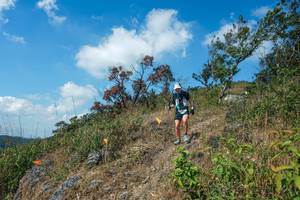 BIB: 
                            <button type="button" onclick="openModal(28096505)" class="btn btn-primary btn-sm float-right btn-popup" data-toggle="modal" data-target=".modal-high-quality">
                        <i class="fas fa-shopping-cart"></i> Add to Cart
                    </button>
                                            <button type="button" onclick="isThisMe(28096505, true)" class="btn btn-success btn-sm float-right btn-popup btn-isme hidden" data-toggle="tooltip" data-placement="bottom" title="นี่คือรูปของคุณใช่ไหม คลิกที่นี่เพื่อเอาเข้าอัลบั้ม">
                        <i class="fas fa-plus"></i> Add to album
                    </button>
                    <button type="button" onclick="isThisMe(28096505, false)" class="btn btn-warning btn-sm float-right btn-popup btn-isnotme hidden">
                        <i class="fas fa-ban"></i> Remove from album
                    </button>